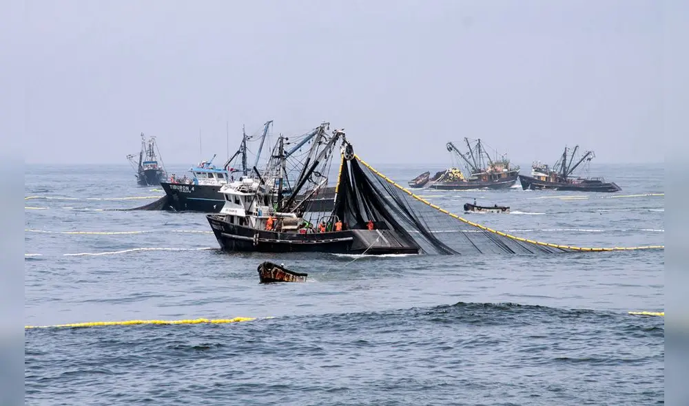 Elevan a 88.000 toneladas el límite de captura de bonito para el 2020 Elevan a 88.000 toneladas el límite de captura de bonito para el 2020