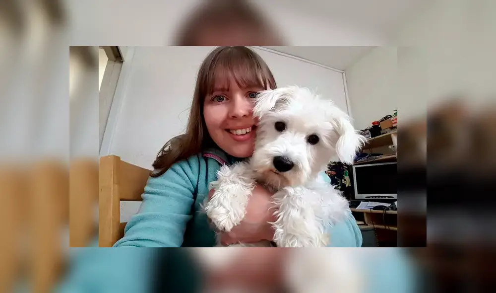 Mujer consigue retratar a sus 17 mascotas posando y la foto causa emoción en usuarios [FOTOS]