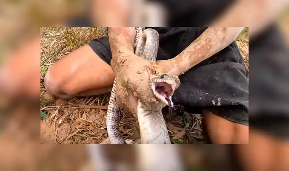 Desliza hacia la izquierda para ver el hallazgo que hizo un joven dentro de un hueco. Video es viral en YouTube. Desliza hacia la izquierda para ver el hallazgo que hizo un joven dentro de un hueco. Video es viral en YouTube.