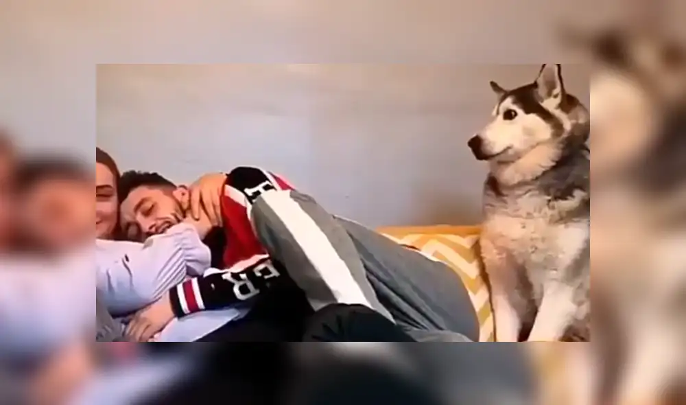 Facebook viral: perro celoso tiene increíble al ver a chico abrazar a su dueña sorprende a usuarios [VIDEO] 