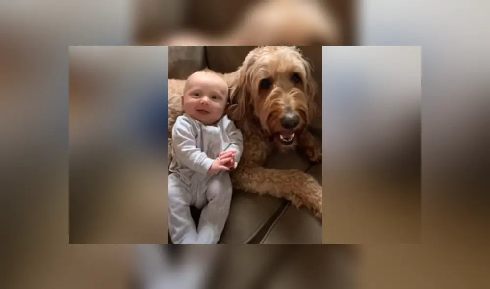 Desliza hacia la izquierda para ver las imágenes del viral de YouTube. Foto: Captura.