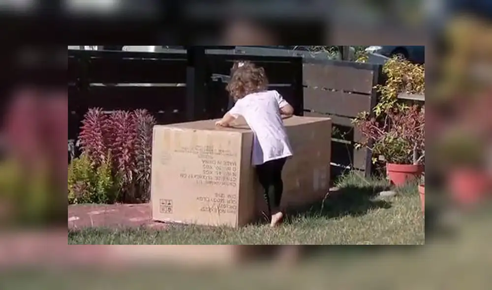 Isabella Mcneil contó que su hija de dos años compró un mueble de 430 dólares por Amazon. Foto: Difusión Isabella Mcneil contó que su hija de dos años compró un mueble de 430 dólares por Amazon. Foto: Difusión