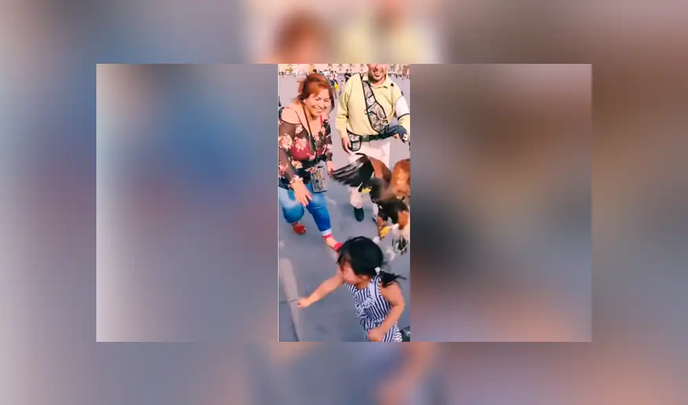 YouTube viral: enorme águila agarra a niña de los pelos y su madre se burla [VIDEO]