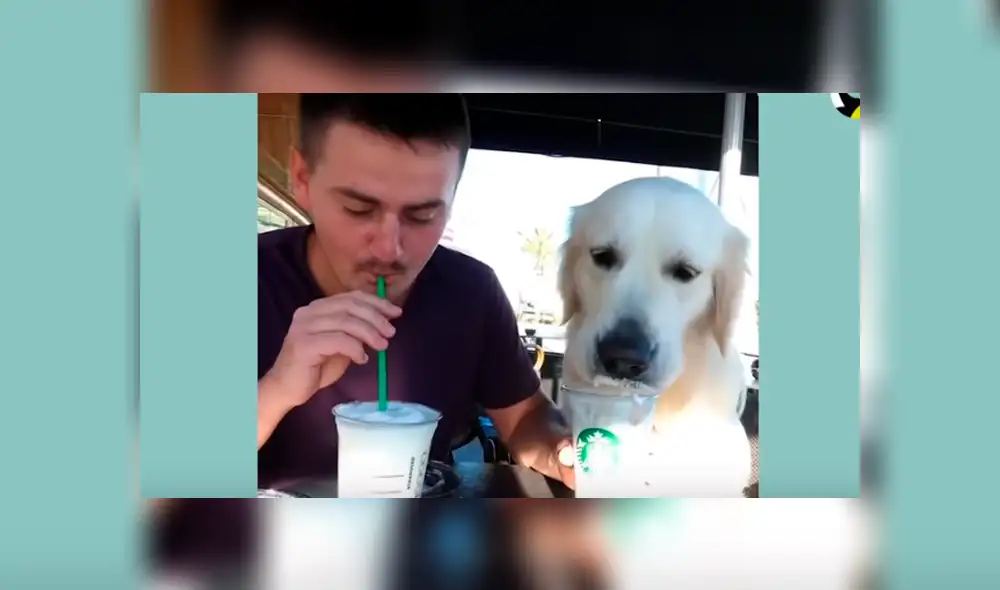 Desliza hacia la izquierda para ver las imágenes del video viral de Facebook.