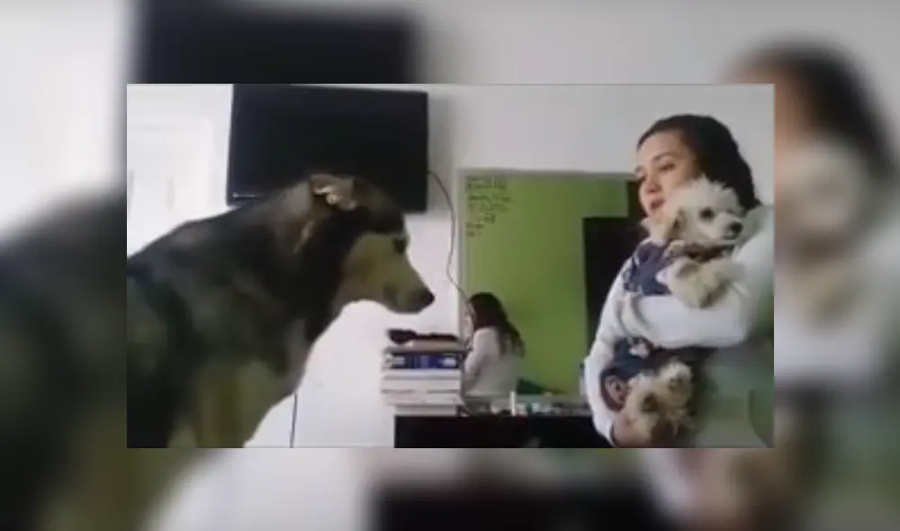 Desliza hacia la izquierda para ver más del video viral