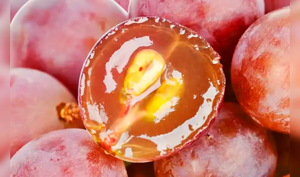 Uvas rojas. Además de suministrar a minoristas de alimentación de Alemania, Fresh-Connection Fruchtimport también se dedica a la exportación a Escandinavia y Europa del Este. Foto: difusión