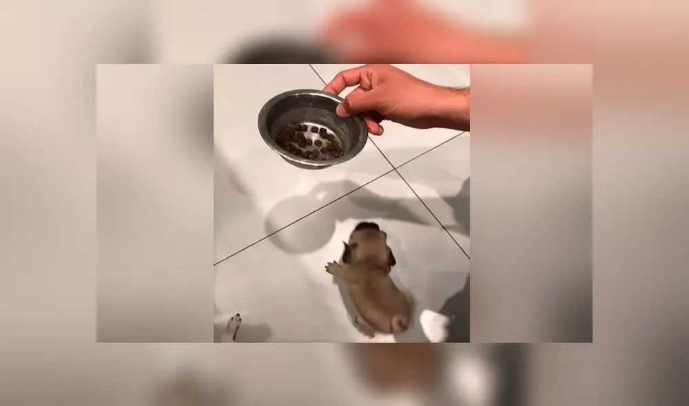 Desliza para ver el emotivo momento que se hizo viral en YouTube. Desliza para ver el emotivo momento que se hizo viral en YouTube.