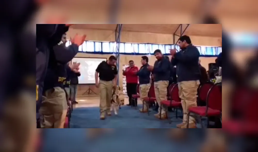 En YouTube, un grupo de policías realizó una conmovedora despedida a un perro que trabajo durante seis años. En YouTube, un grupo de policías realizó una conmovedora despedida a un perro que trabajo durante seis años.