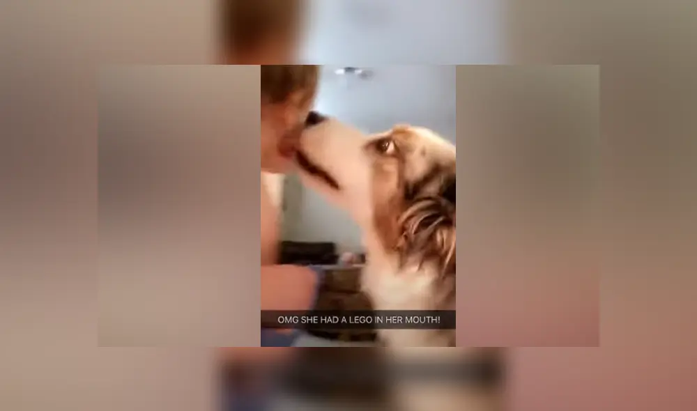 Desliza hacia la izquierda para ver las imágenes del tierno viral de Facebook. Foto: ViralHog Desliza hacia la izquierda para ver las imágenes del tierno viral de Facebook. Foto: ViralHog