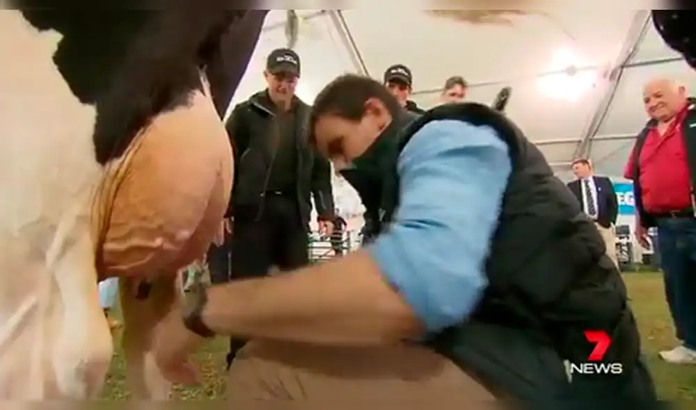 YouTube: reportero ordeña vaca en lugar equivocada y se lleva desagradable sorpresa [VIDEO] 