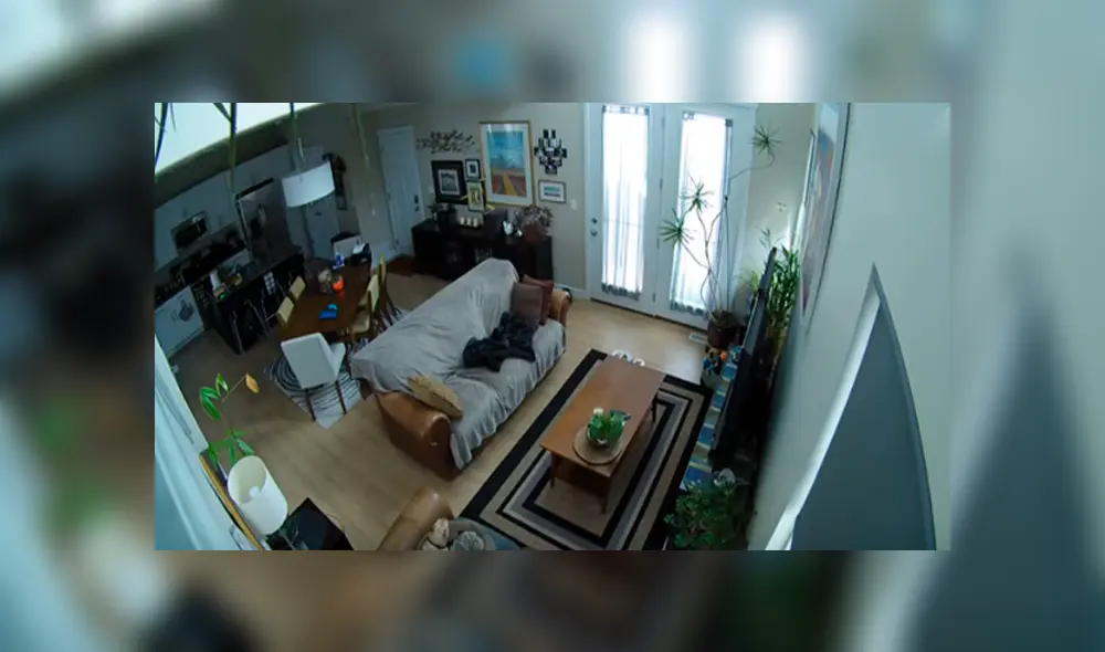 Desliza hacia la izquierda para descubrir al extraño ser que invadió la casa de una señora. El video es viral en YouTube.