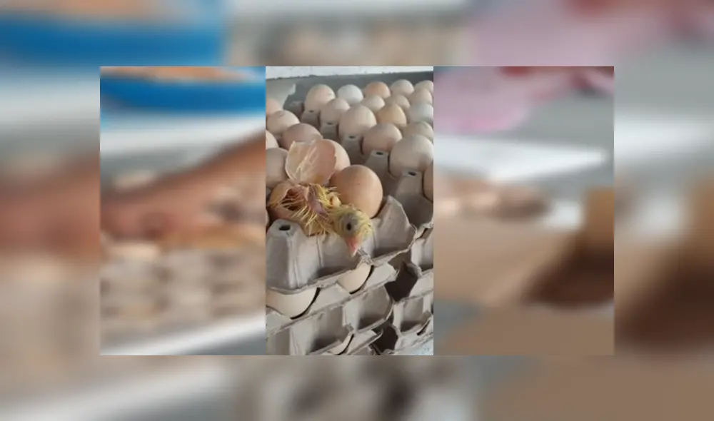 Desliza para ver los detalles del video viral publicado en YouTube. Foto: Captura.