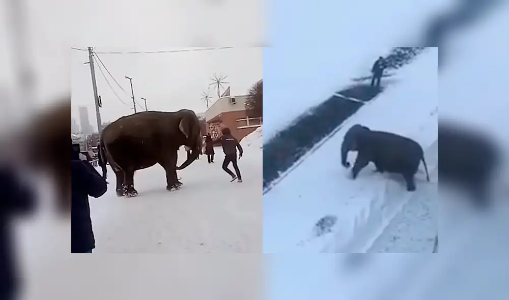 Desliza para ver los momentos más sorprendentes del video que se hizo viral en YouTube. Desliza para ver los momentos más sorprendentes del video que se hizo viral en YouTube.