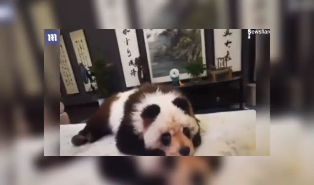 Desliza para ver los detalles de esta historia que se volvió viral en Facebook. Foto: Captura.