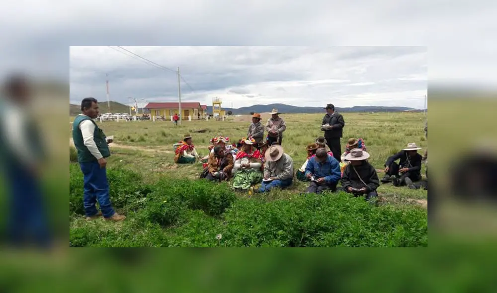 Recuperarán praderas en Puno Recuperarán praderas en Puno