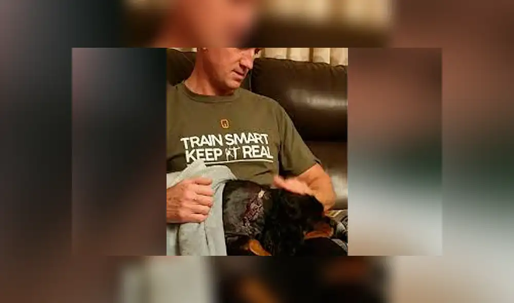 Mascota fue ataca por dos perros y casi termina con la cabeza mutilada [FOTOS]