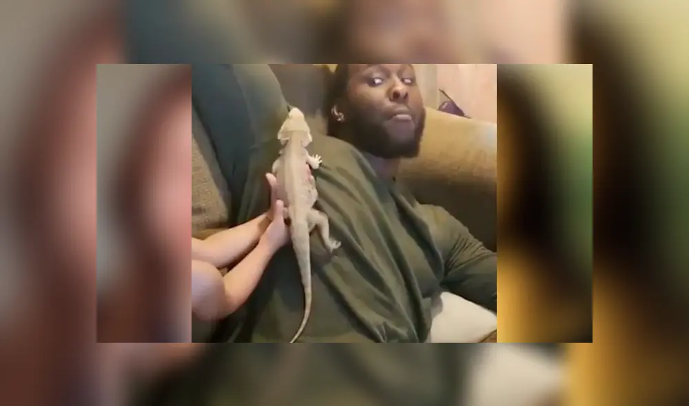 YouTube viral: la hilarante reacción de un papá, luego de que su hijo le coloque un reptil en el cuerpo YouTube viral: la hilarante reacción de un papá, luego de que su hijo le coloque un reptil en el cuerpo