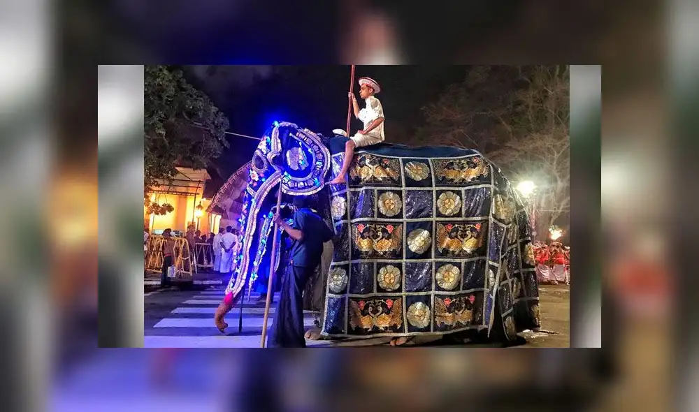 Maltrato animal en fiesta budista Maltrato animal en fiesta budista