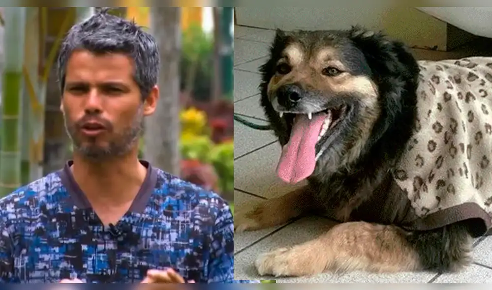 Pancho Cavero deja desgarrador mensaje tras la muerte de 'Perrovaca' 