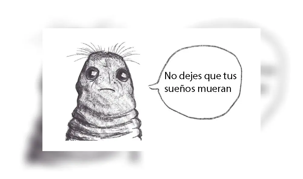 Desliza para descubrir por qué los 'tuiteros' no pueden dejar de reír ante foto de una foca mirando hacia arriba. Foto: Captura. Desliza para descubrir por qué los 'tuiteros' no pueden dejar de reír ante foto de una foca mirando hacia arriba. Foto: Captura.