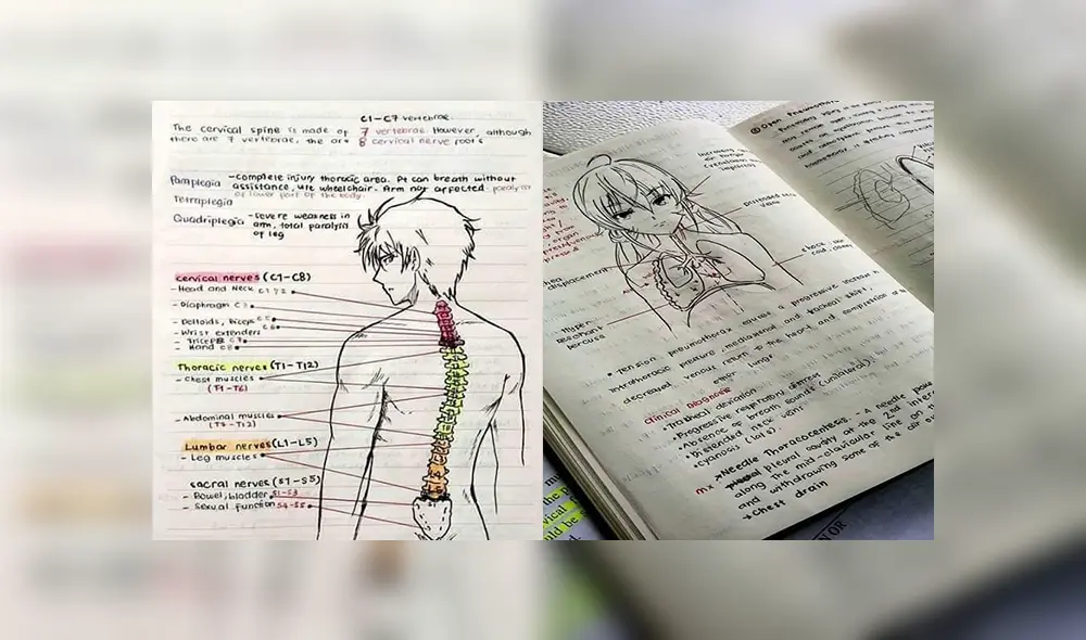 Facebook viral: joven otaku estudia medicina y dibuja animes en sus trabajos universitarios [FOTOS]