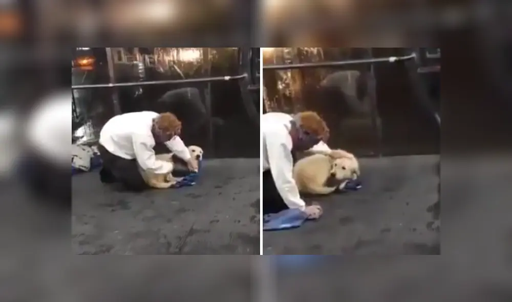 Desliza las imágenes para ver más detalles de este noble gesto que conmovió las redes sociales. (Foto: captura / Twitter) Desliza las imágenes para ver más detalles de este noble gesto que conmovió las redes sociales. (Foto: captura / Twitter)