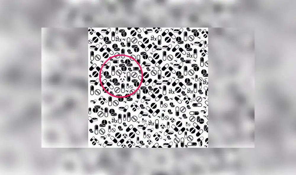 Desliza las imágenes para ver la ubicación exacta del travieso oso panda bebé que se escondió entre pastillas. Foto: Grupos Facebook