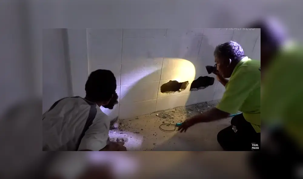 Un video viral de YouTube mostró el desgarrador rescate de una enorme pitón que había quedado atascada entre dos paredes y que terminó con el cuerpo lleno de heridas.