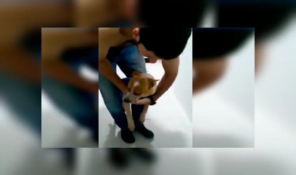 En Facebook, un perro se tapó el hocico para evitar tomar sus medicinas que le recetó su veterinario. En Facebook, un perro se tapó el hocico para evitar tomar sus medicinas que le recetó su veterinario.