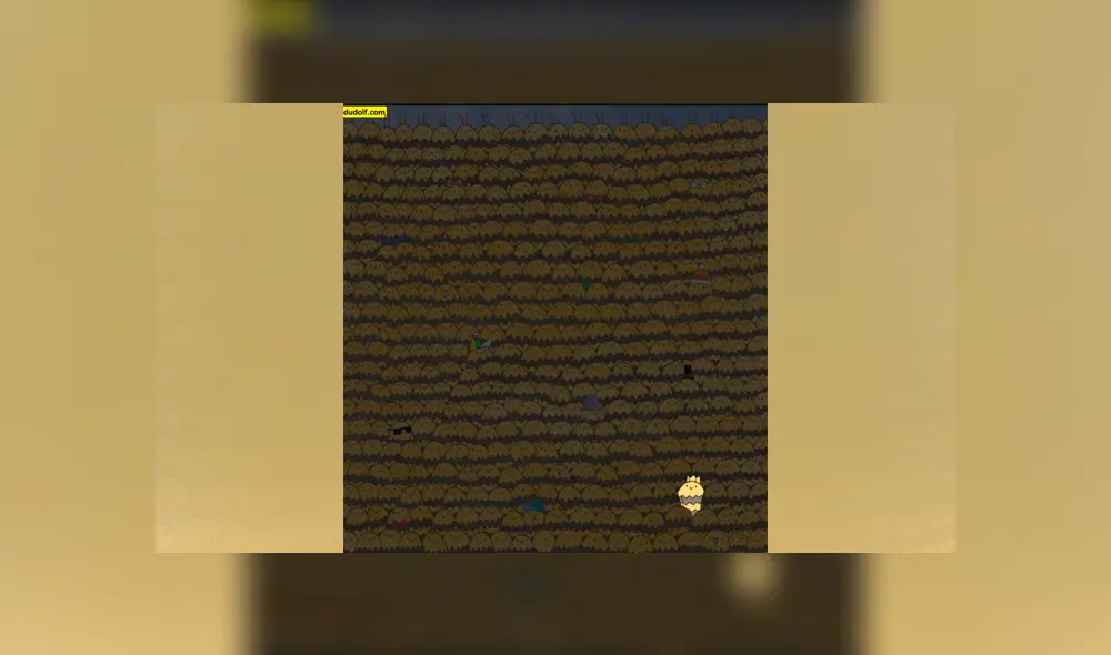 Desliza las imágenes para ver el lugar exacto en el que se escondió esta traviesa abeja reina. Fotocapturas: dudolf.com