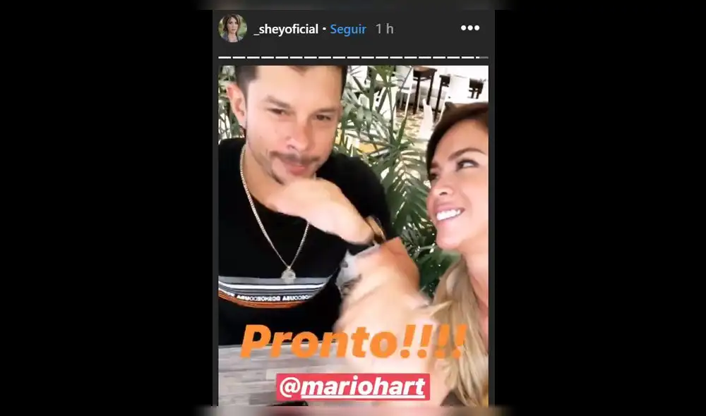 Conoce al reemplazo de Nicola Porcella en 'Estás en todas' [FOTOS]