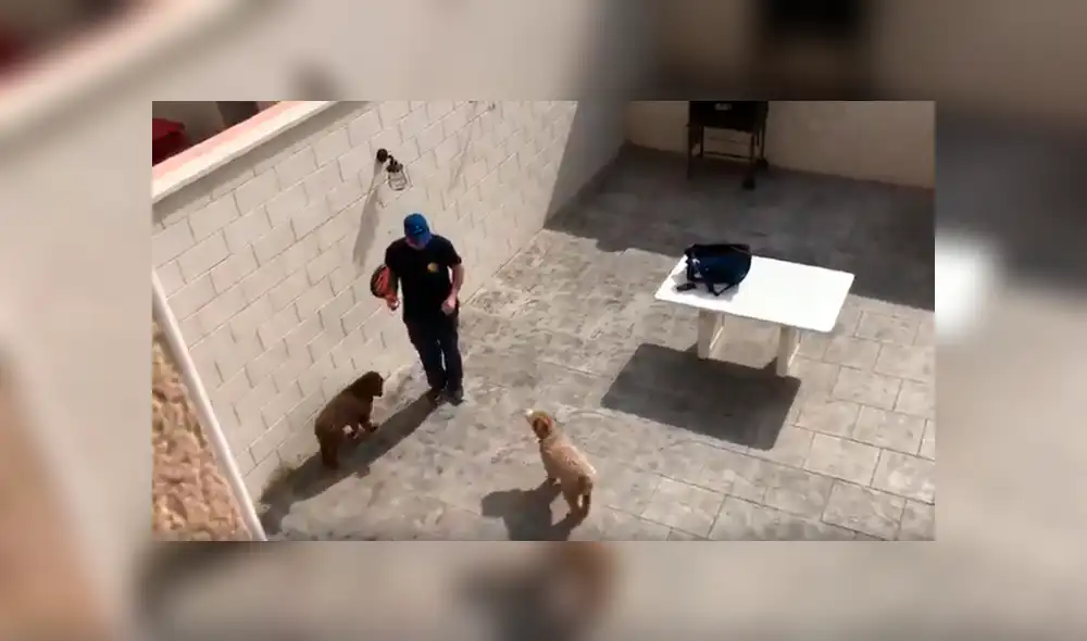 Desliza las imágenes hacia la izquierda para observar el ingenioso juego que realizaron unos jóvenes durante la cuarentena. Desliza las imágenes hacia la izquierda para observar el ingenioso juego que realizaron unos jóvenes durante la cuarentena.