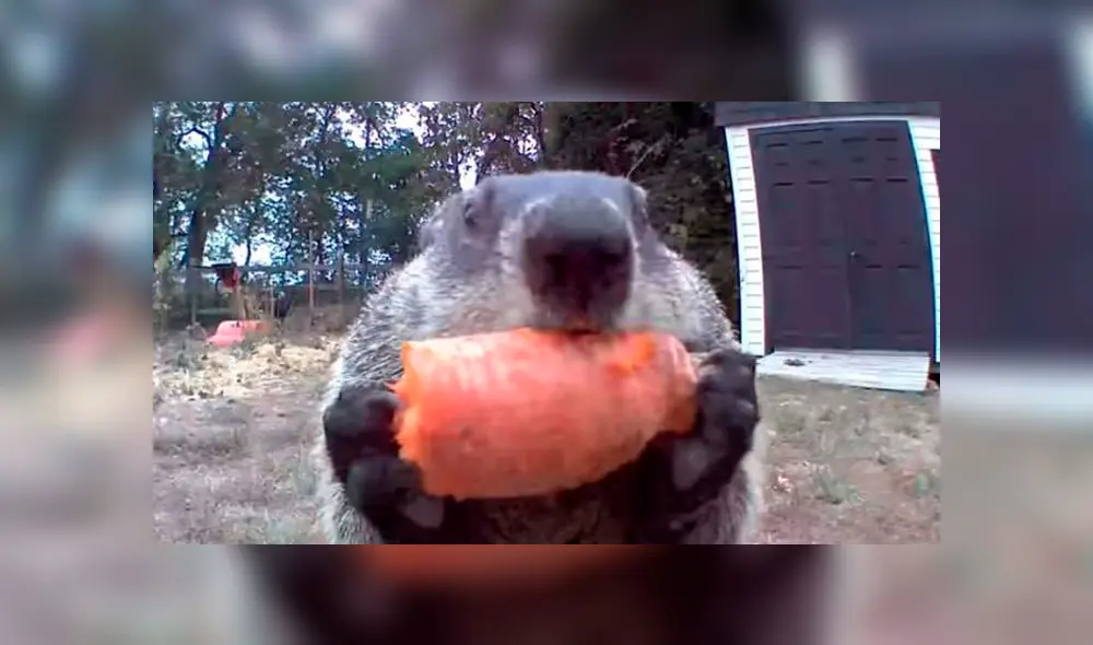 Desliza para ver los detalles del video viral de Facebook. Foto: Captura.