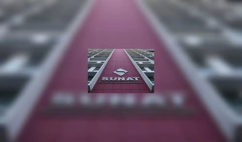 Sunat: 99,9% de las declaraciones de renta 2018 se hicieron por internet