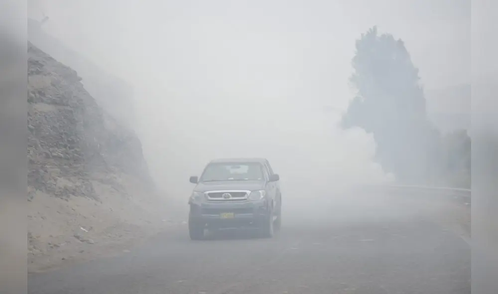 Tía María: pobladores se movilizaron en protesta al proyecto minero Tía María: pobladores se movilizaron en protesta al proyecto minero