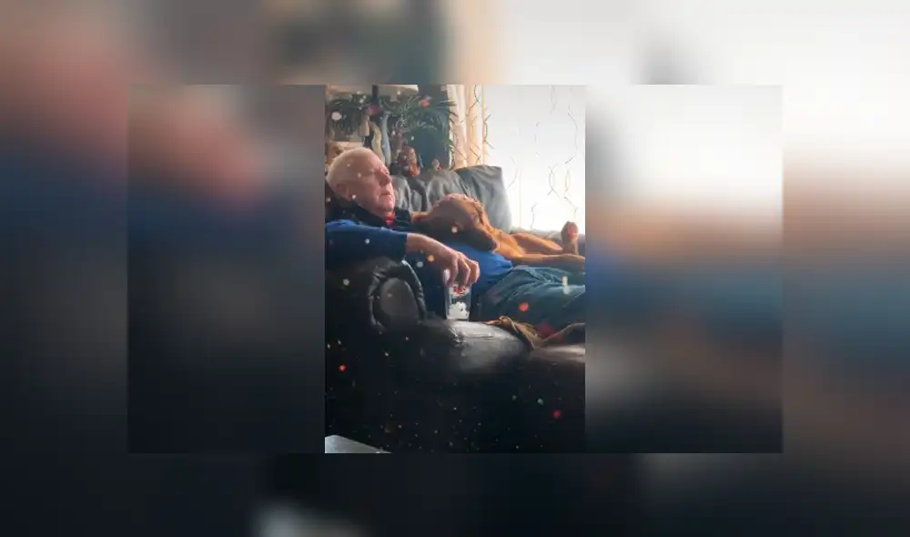 Desliza las imágenes hacia la izquierda para apreciar la conmovedora escena protagonizada por un anciano y su perro. Desliza las imágenes hacia la izquierda para apreciar la conmovedora escena protagonizada por un anciano y su perro.