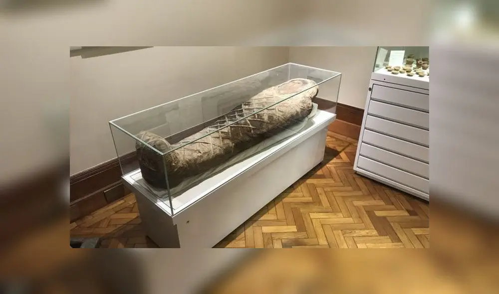 Hermione, la inusual momia egipcia de 2000 años que no visitan Hermione, la inusual momia egipcia de 2000 años que no visitan