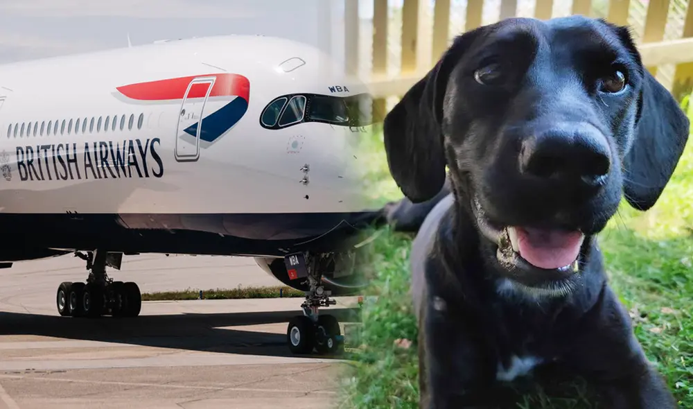 El can estuvo bajo la responsabilidad de la aerolínea British Airways. Foto: composición LR/NPR cortesía  familia Miller/Alamy