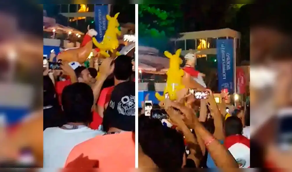 Facebook Viral: llama y canguro tienen peculiar pelea previo al Perú vs Australia