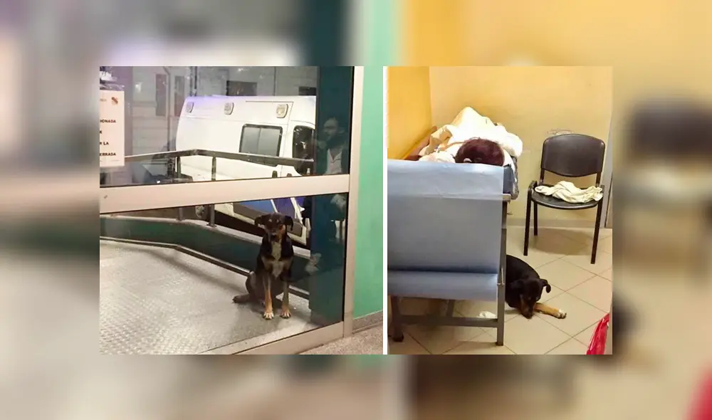 Facebook: perro logró conmover a policías y enfermeros, ahora acompaña a su dueña en el hospital Facebook: perro logró conmover a policías y enfermeros, ahora acompaña a su dueña en el hospital