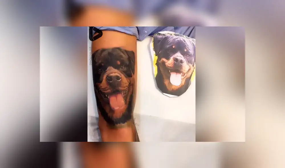 Desliza para ver las imágenes más sorprendente del video que se hizo viral en Facebook. Desliza para ver las imágenes más sorprendente del video que se hizo viral en Facebook.