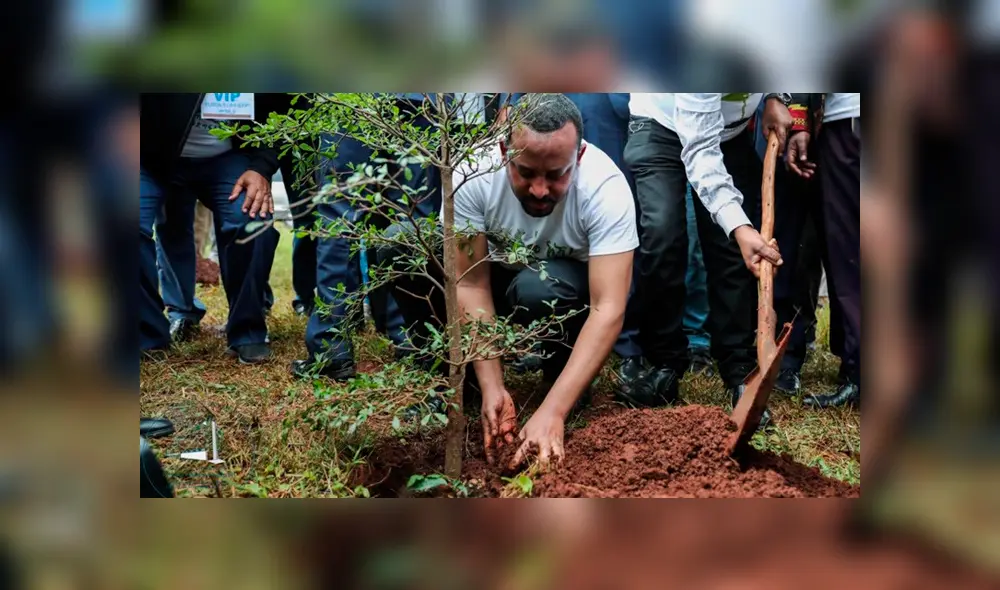 Etiopía siembra más de 350 millones de árboles en campaña nacional. Foto: Twitter/@PMEthiopia Etiopía siembra más de 350 millones de árboles en campaña nacional. Foto: Twitter/@PMEthiopia