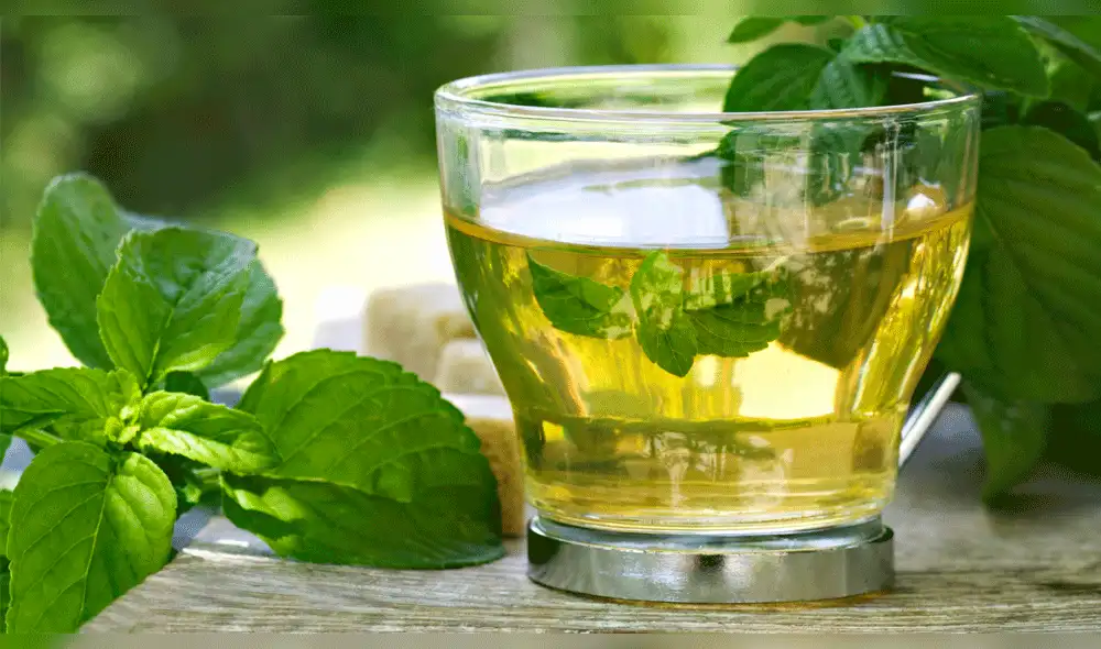 Cáncer de piel: 10 alimentos que te protegen de los rayos solares [FOTOS]