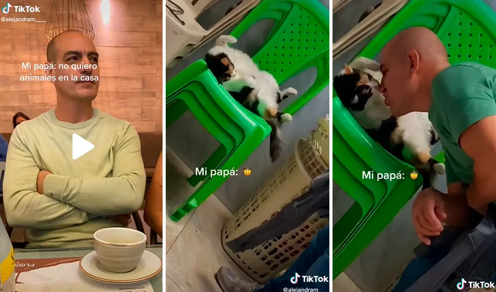 Las imágenes conmovieron los corazones de miles en redes. Foto: composición LR/captura de TikTok/@Alejandram_ _ _ Las imágenes conmovieron los corazones de miles en redes. Foto: composición LR/captura de TikTok/@Alejandram_ _ _