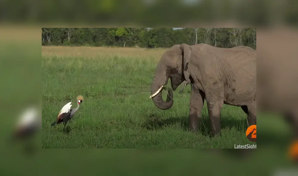 Desliza la imagen de YouTube para ver todas las fotos.