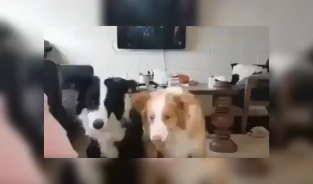 Desliza hacia la izquierda para ver más del video viral Desliza hacia la izquierda para ver más del video viral