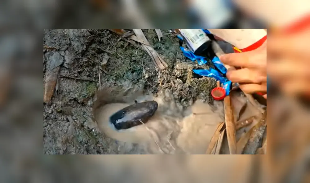 Desliza hacia la izquierda para ver las imágenes el viral de YouTube. Foto: Captura. Desliza hacia la izquierda para ver las imágenes el viral de YouTube. Foto: Captura.