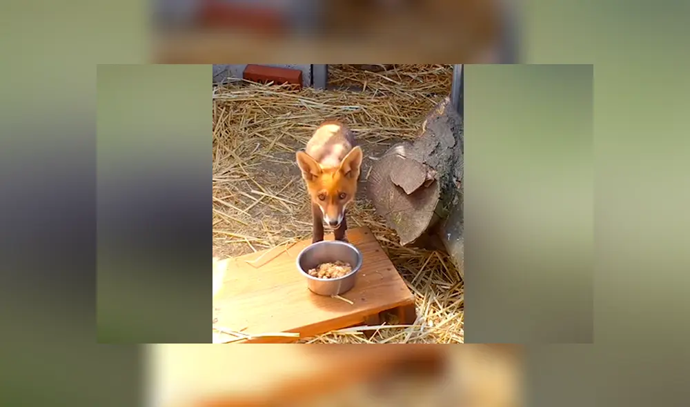 Desliza para ver los momentos más emotivos del video que se hizo viral de Facebook. Desliza para ver los momentos más emotivos del video que se hizo viral de Facebook.