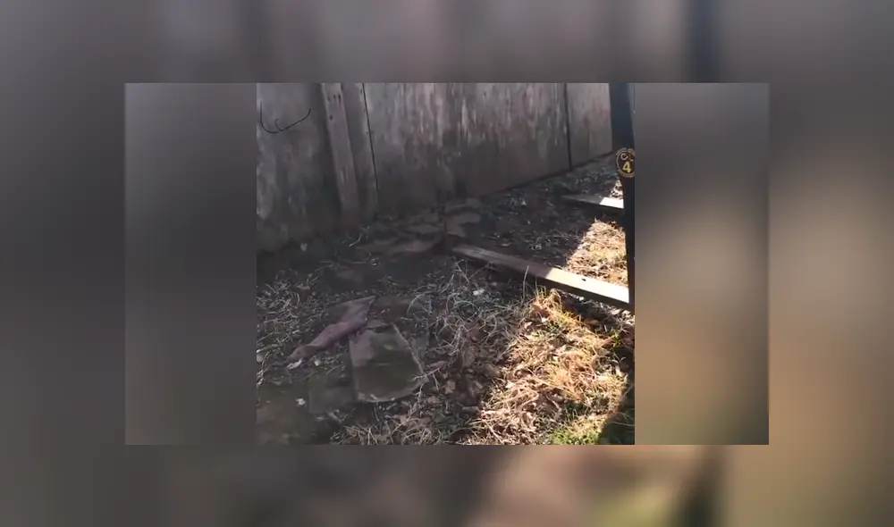 Desliza para ver los momentos más importantes de este aterrador video compartido en Facebook. Desliza para ver los momentos más importantes de este aterrador video compartido en Facebook.