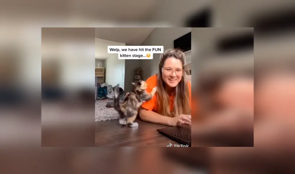Video es viral en TikTok. Joven grabó la peculiar conducta que tuvo su gatita mientras intentaba hacer ‘home office’ desde su habitación. Fotocaptura: TikTok